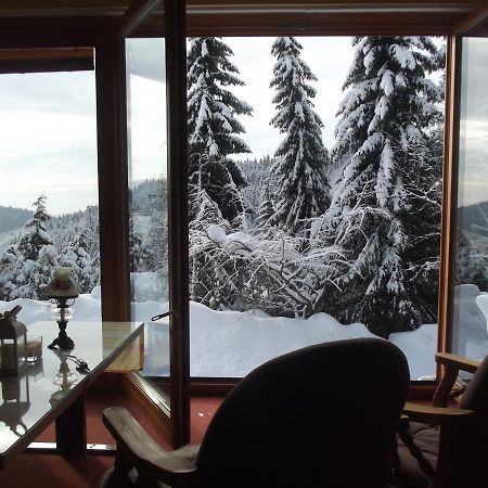 Chata s výhledem Jáchymov Exteriér fotografie