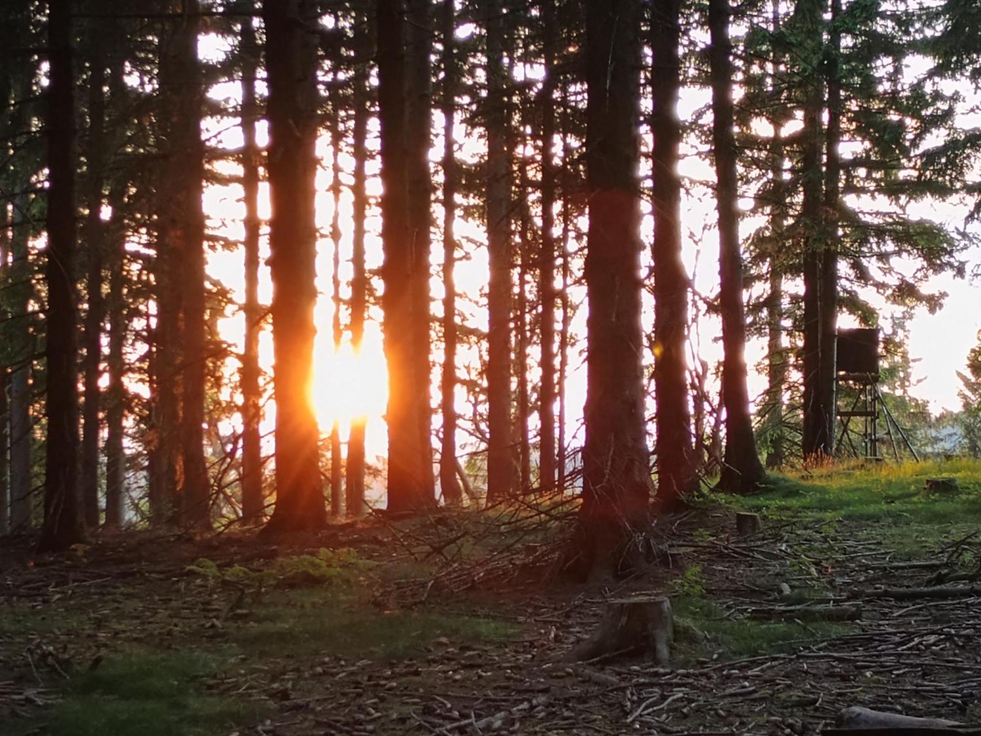 Chata s výhledem Jáchymov Exteriér fotografie