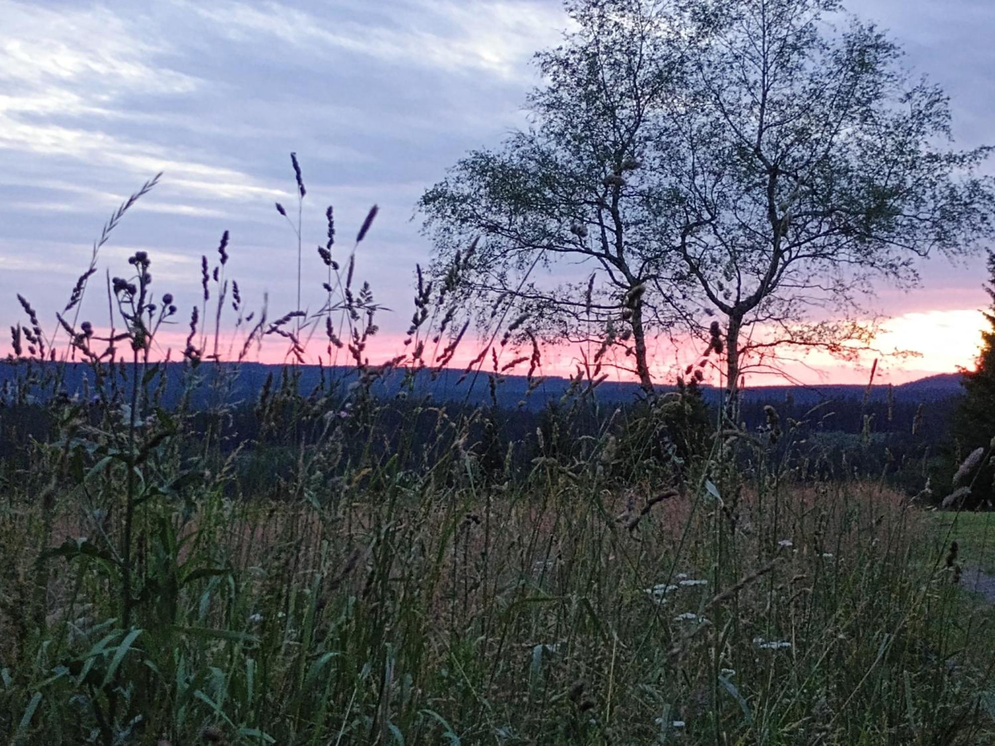 Chata s výhledem Jáchymov Exteriér fotografie