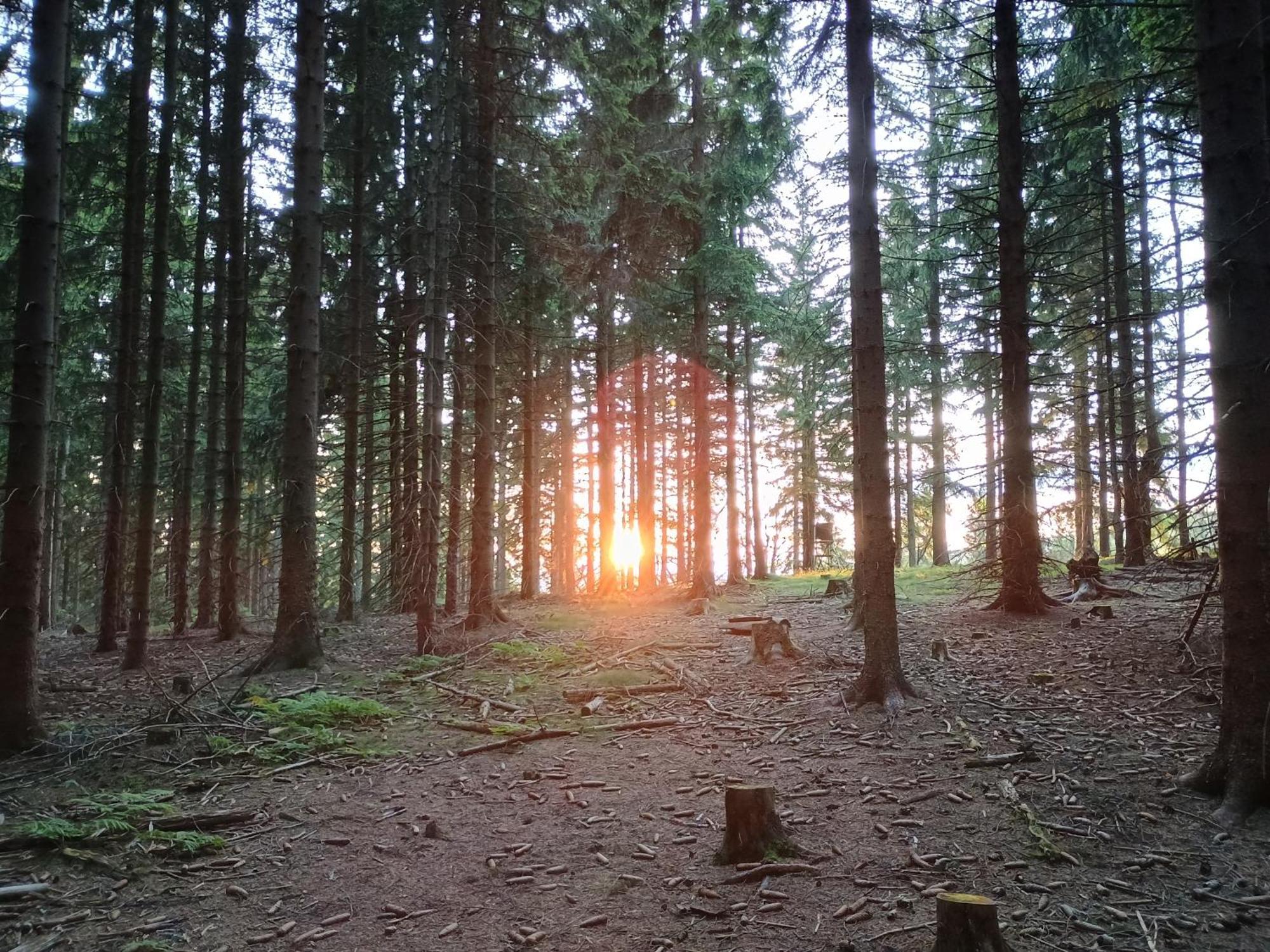 Chata s výhledem Jáchymov Exteriér fotografie